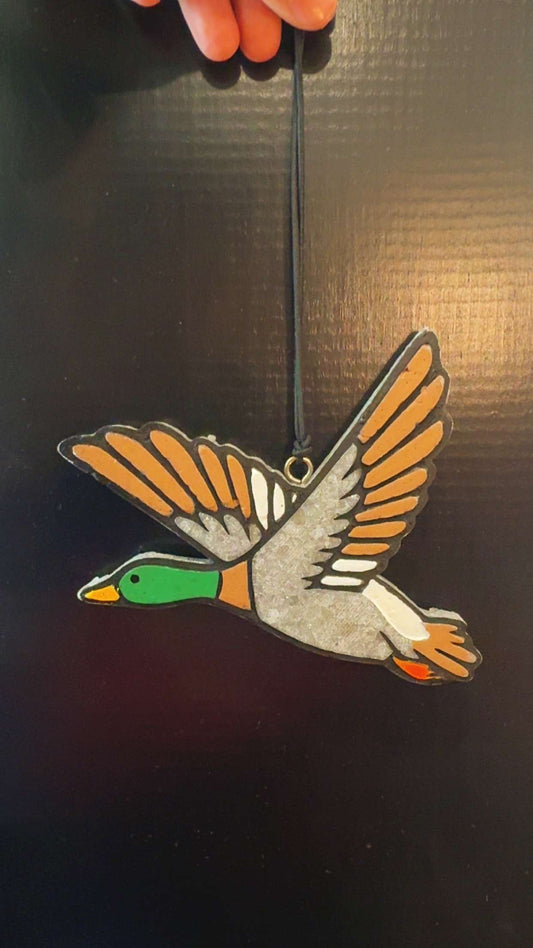 Duck
